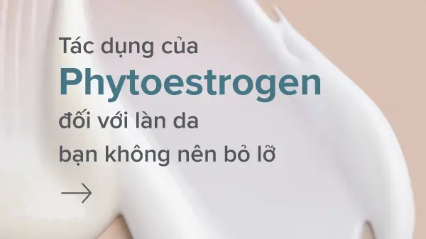 Tác dụng của Phytoestrogen là gì trong mỹ phẩm chăm sóc da?